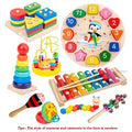 9 in 1 Wooden Montessori Toys 