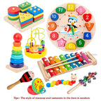 9 in 1 Wooden Montessori Toys 