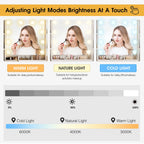 Makeup Vanity Set with Light